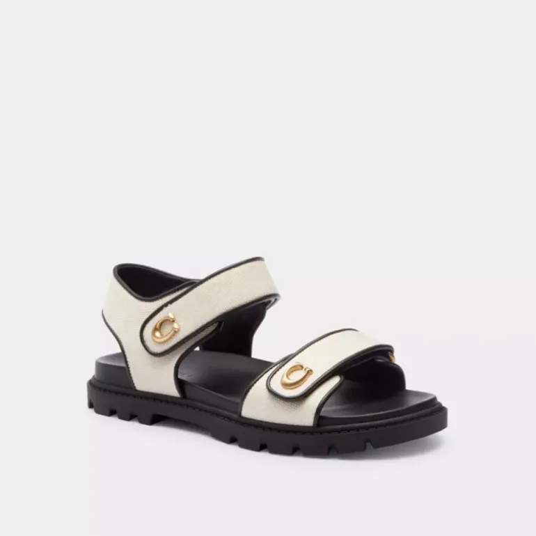 Brynn Sandale*COACH Flash Sale