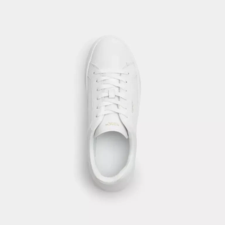 High Line Sneaker*COACH Store