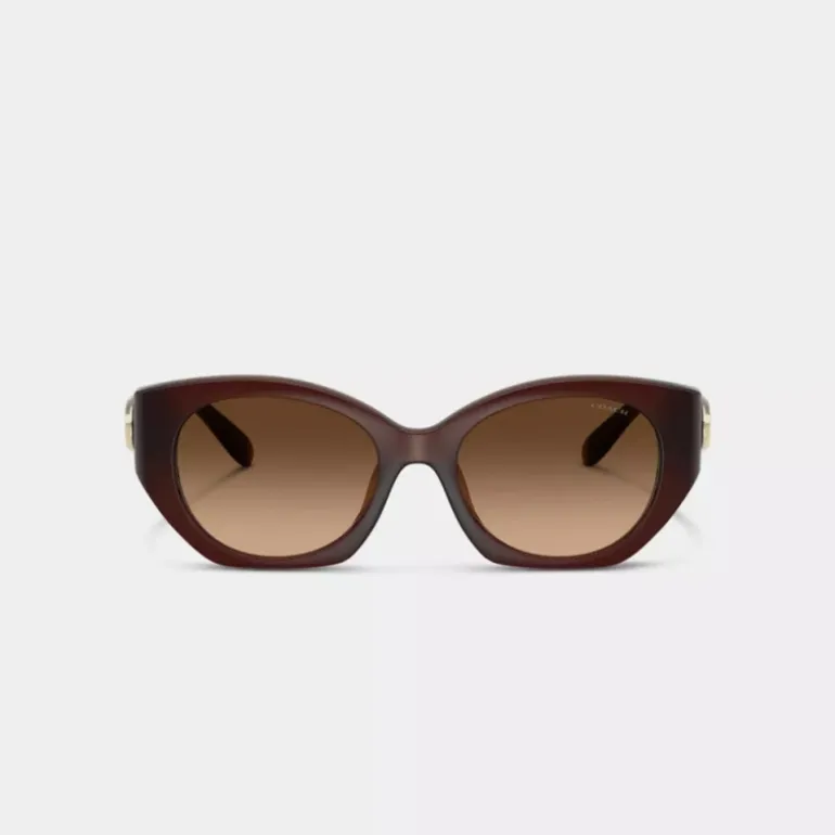 Idol ovale Sonnenbrille*COACH Fashion