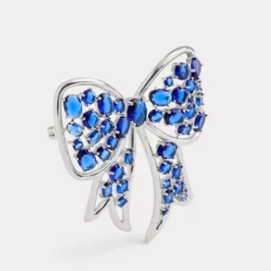 Kristallschleifenbrosche*COACH Fashion