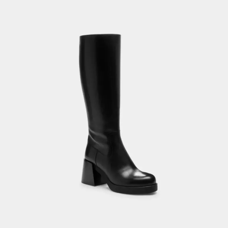 Natasha Stiefel*COACH Online