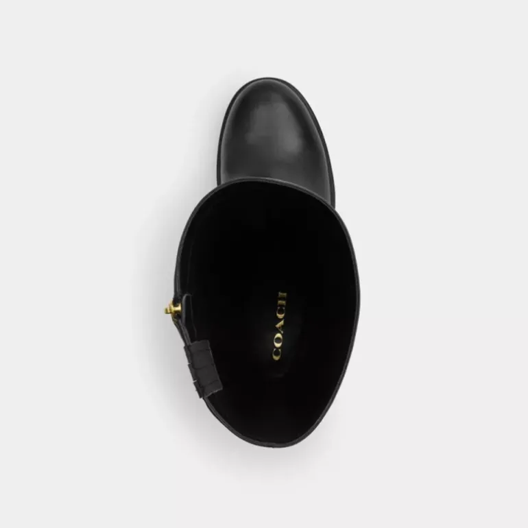 Natasha Stiefel*COACH Online